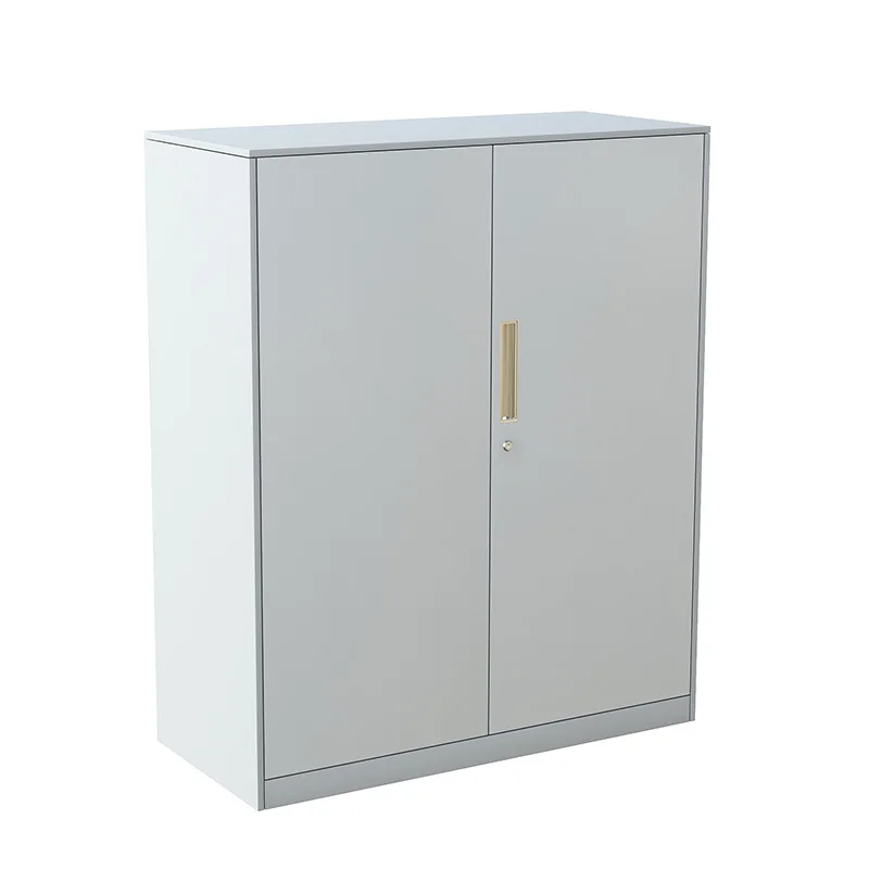 Two Door Office Furniture Small Vertical Steel File Storage Cabinet Office Low Storage Cabinet