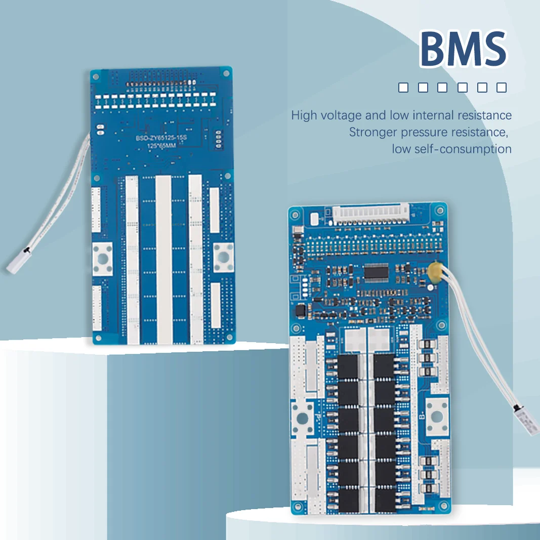 Bisida BMS 15S 56V Lithium ion 48V Lifepo4 Battery Protection Board Common Port With balance for 18650 21700 Battery Pack