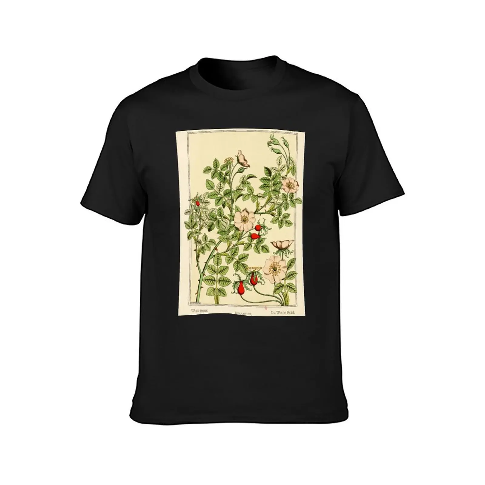 French botanical flower plate - Maurice Verneuil - Eglantier T-Shirt graphics funnys sports fans quick-drying sweat shirts, men