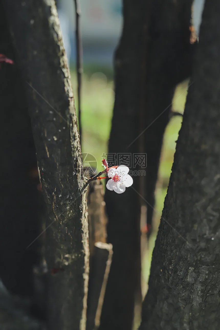 

4PCS 98MM 1.9" Super Viscosity Rubber Rock Tyres Wheel Tires with Beadlock Wheel Rim for 1:10 RC Crawler