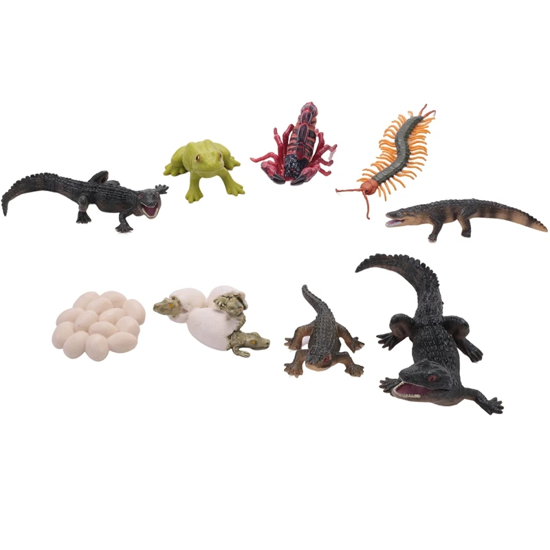 21 PCS Simulation Animals Growth Cycle Scorpion Centipede Frog Crocodile Life Cycle Models Figures Educational Kids Toys