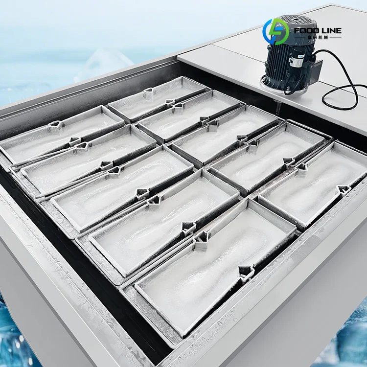 Stainless Steel 1T Ice Block Maker 50kg 10 Molds Motor CE Certified  Air/Water Cooling Imported Custom
