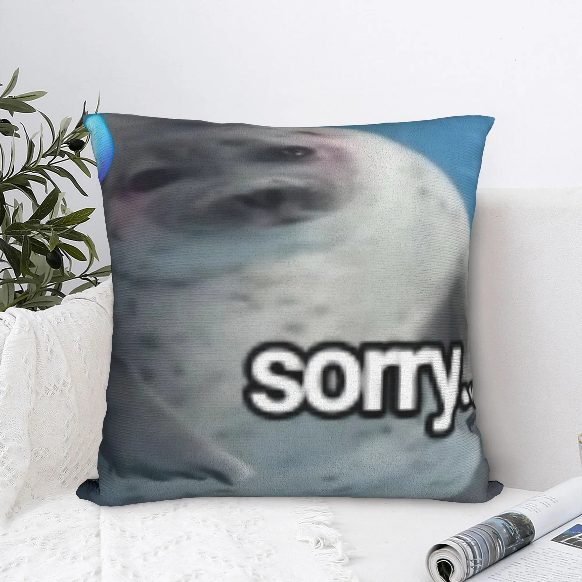 Seal Sea Meme Sorry Square Pillow Case  Cushion Covers Awesome Zipper Decorative Throw Pillow Case Cover for Home 18