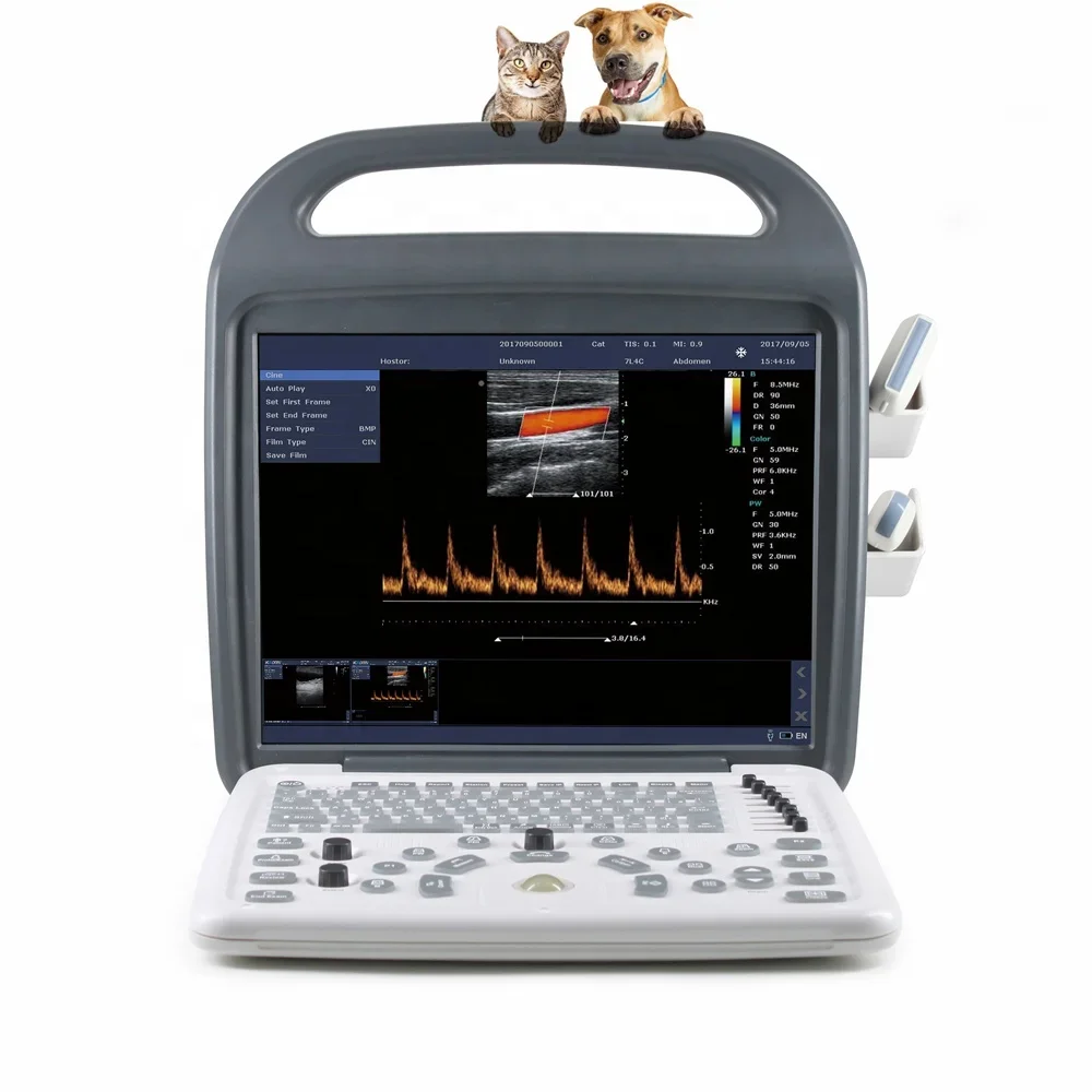 Professional Diagnostic Animal Heart Portable 2D Color Doppler Veterinary Ultrasound Scanner Machine