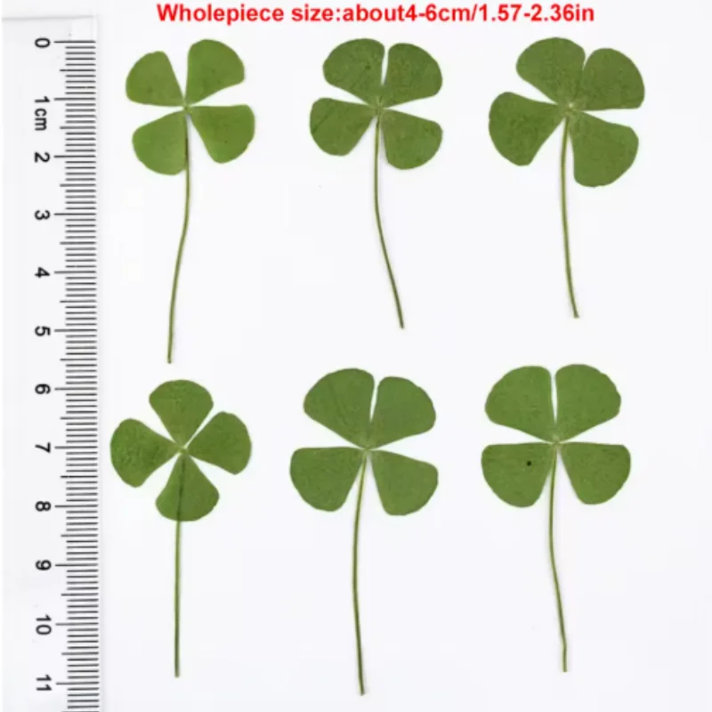 5PCS Lucky Four-Leaf Clover Bookmark -  Transparent Card, Simple Style Wishing Bookmark