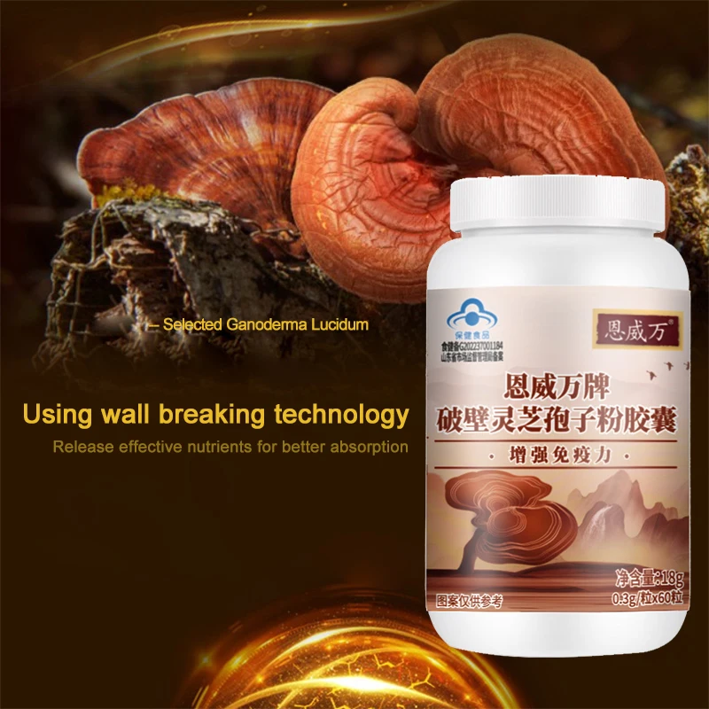 Hot selling anti aging ganoderma lucidum spore powder capsule Broken Reishi Mushroom Spore Powder