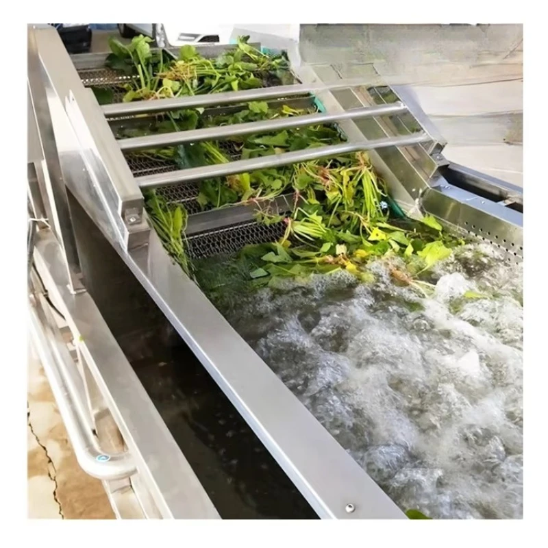 Industrial fruit and vegetable cleaning machine spinach leaf ozone bubble electric pump engine core components