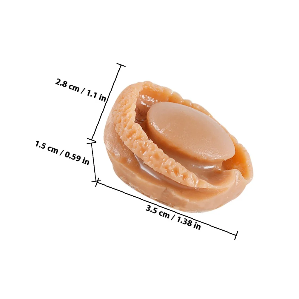 4Pcs Mini Abalone Food Exquisite Simulation Bright Color Vivid Design for Miniature Kitchen Scene Decoration Handmade Craft