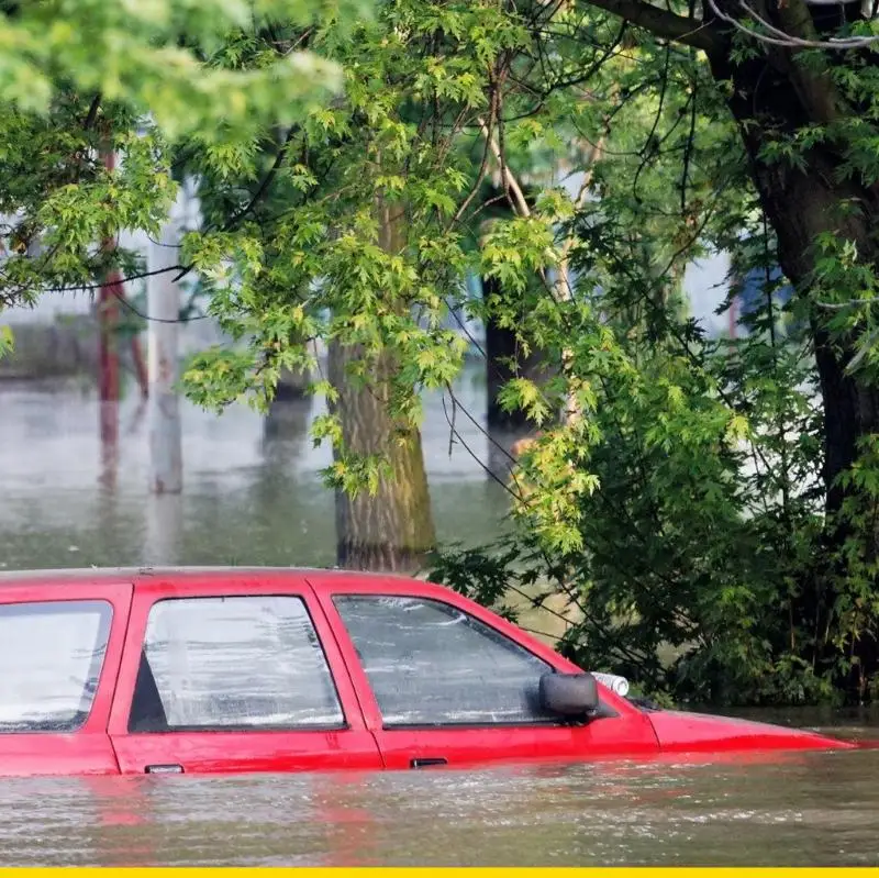 SZCH Rompedor Vidrio Cortador Correa Rompedor Ventana Multifuncional Martillo Rescate Seguridad
