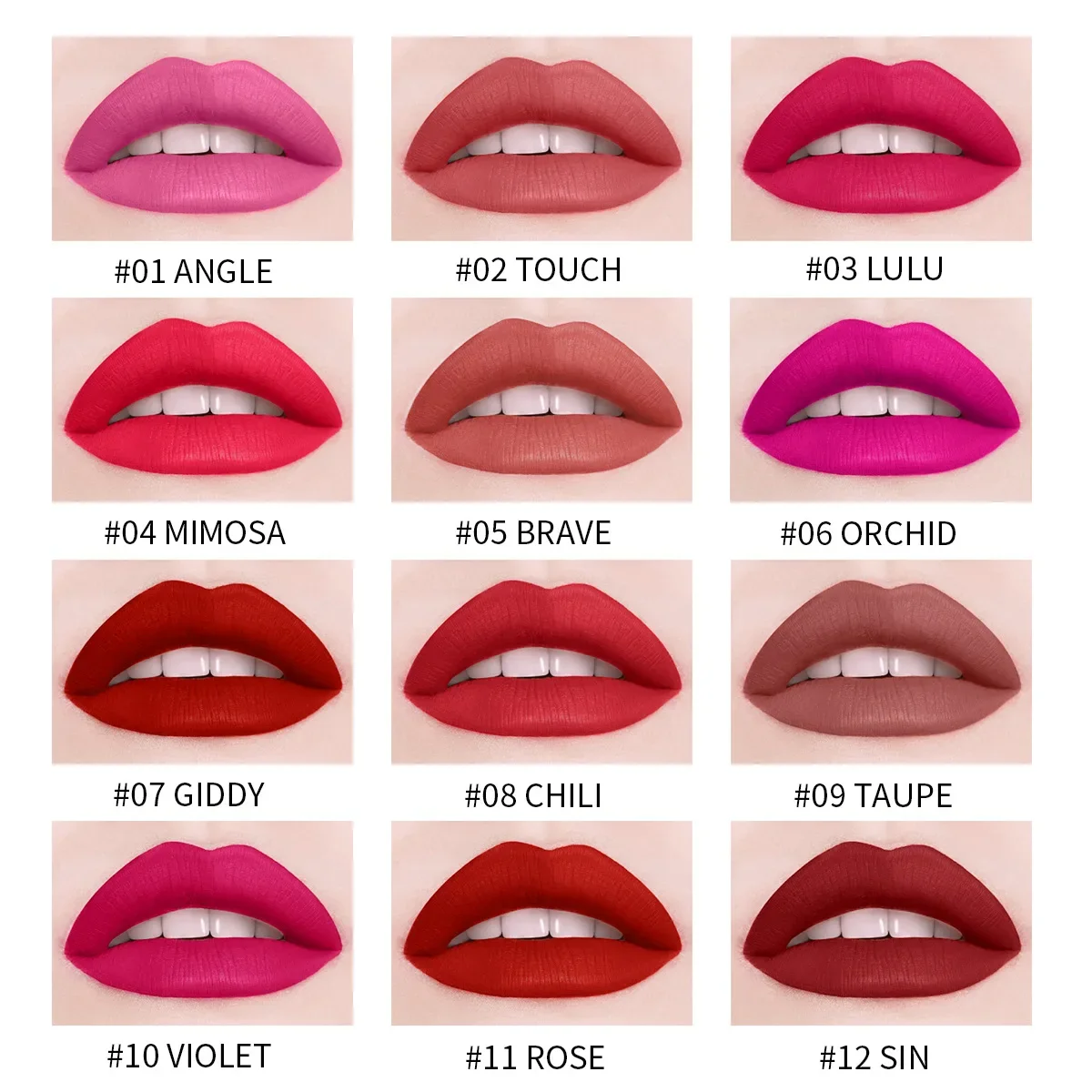 12 colori di lunga durata Makeups Lip Gloss Waterproof Lip Glaze Lip Tint rossetto liquido campione cosmetico rossetto liquido opaco