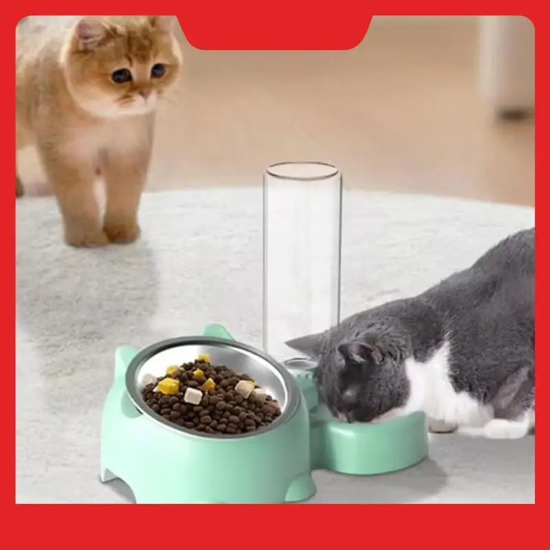 Ensemble de bols à eau, plat incliné à 16 degrés pour chien avec distributeur d'eau, bol amovible pour mangeoire pour animaux de compagnie, bol pour boire et manger des chiens