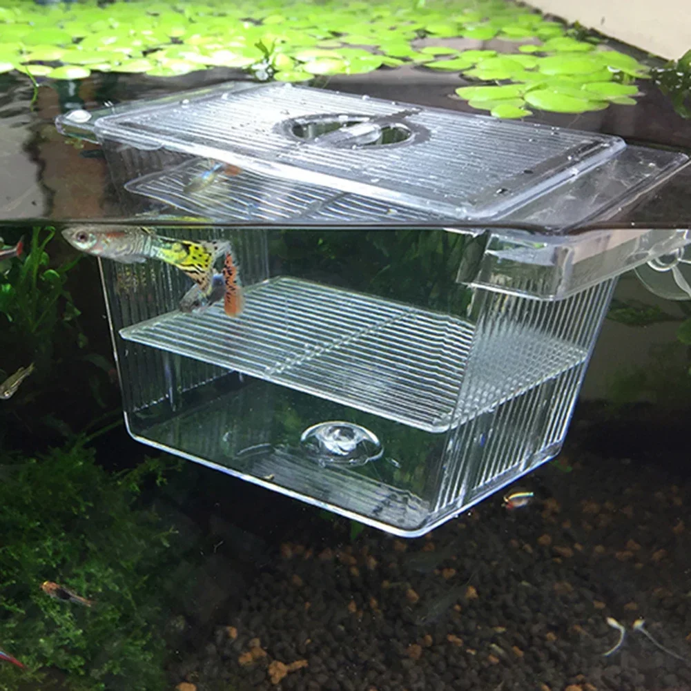جديد الأسماك الديكور التفريخ غرفة الاكريليك خزان الأسماك عزل صندوق حوض السمك الأحداث حاضنة الأسماك حامل