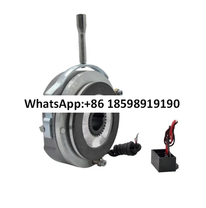 BLTZ1 04 05 08 15 30 40 80 150 200 فقدان الكهرومغناطيسي لفرامل الطاقة DC99 170 24V