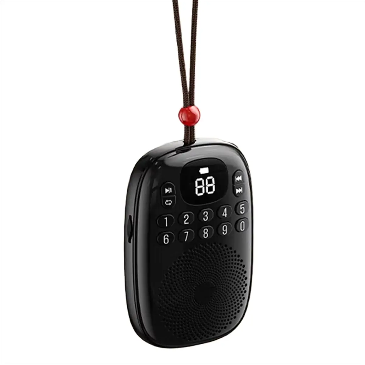 #04R Consumer Electronics,Pocket FM Radio LED Display Digital Radios Receiver B (Black)