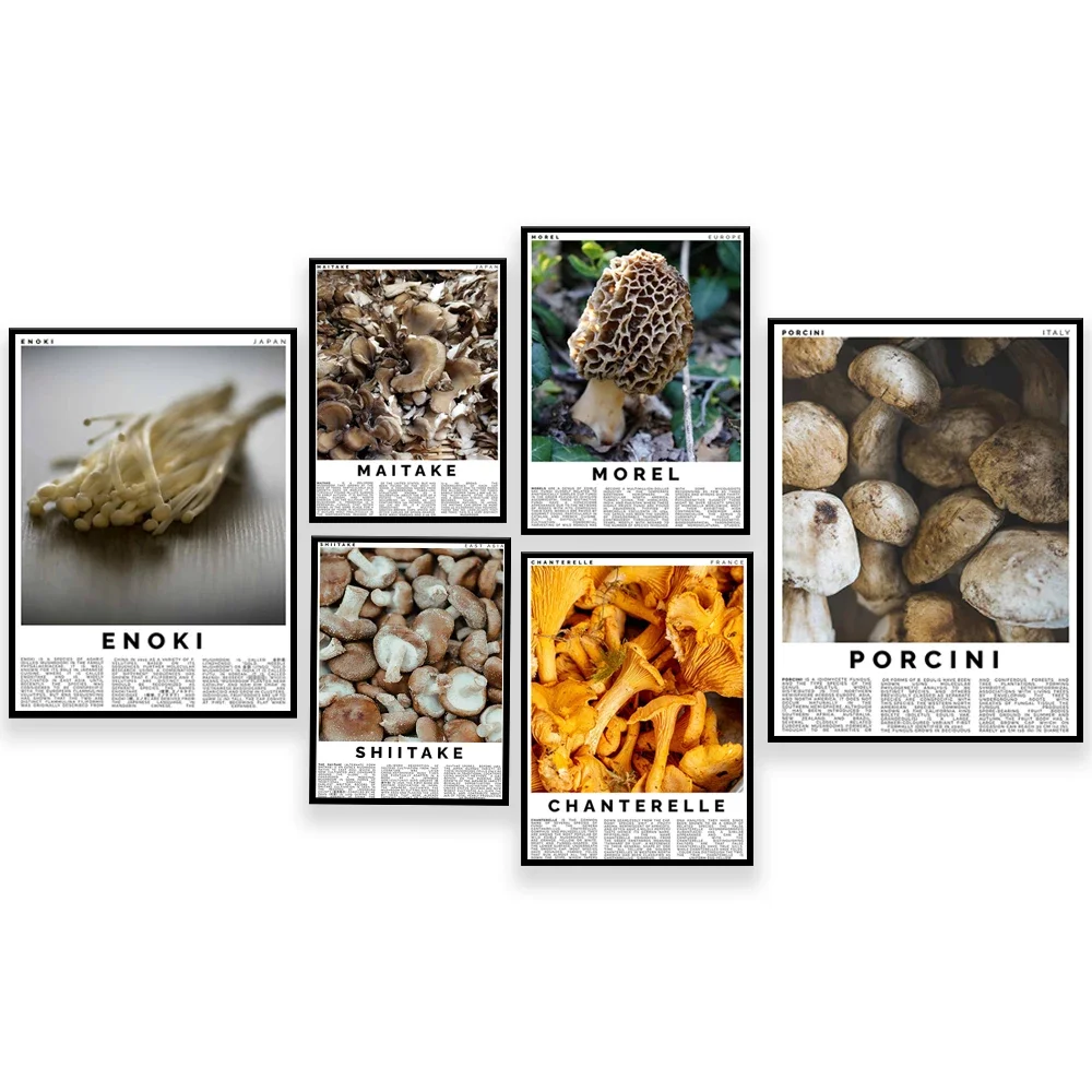 Botanist, white truffle, champignon, chanterelle, maitake, morel, porcini, enoki mushroom poster art kitchen decor, cooking gift