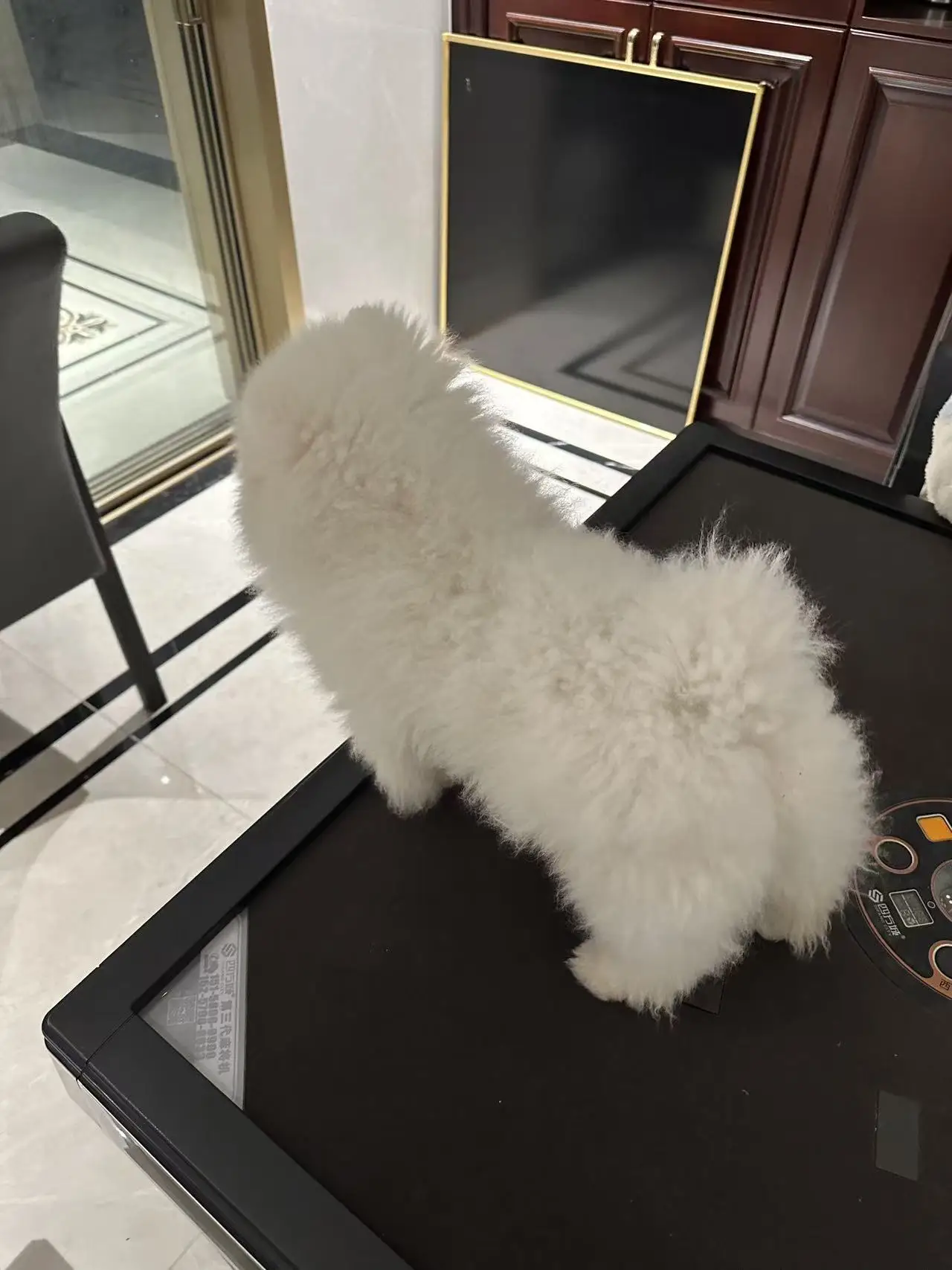 Portátil emtt fisio magnetoterapia magnetoterapia alívio da dor pemf terapia de lesões esportivas magnetoterapia máquina de fisioterapia