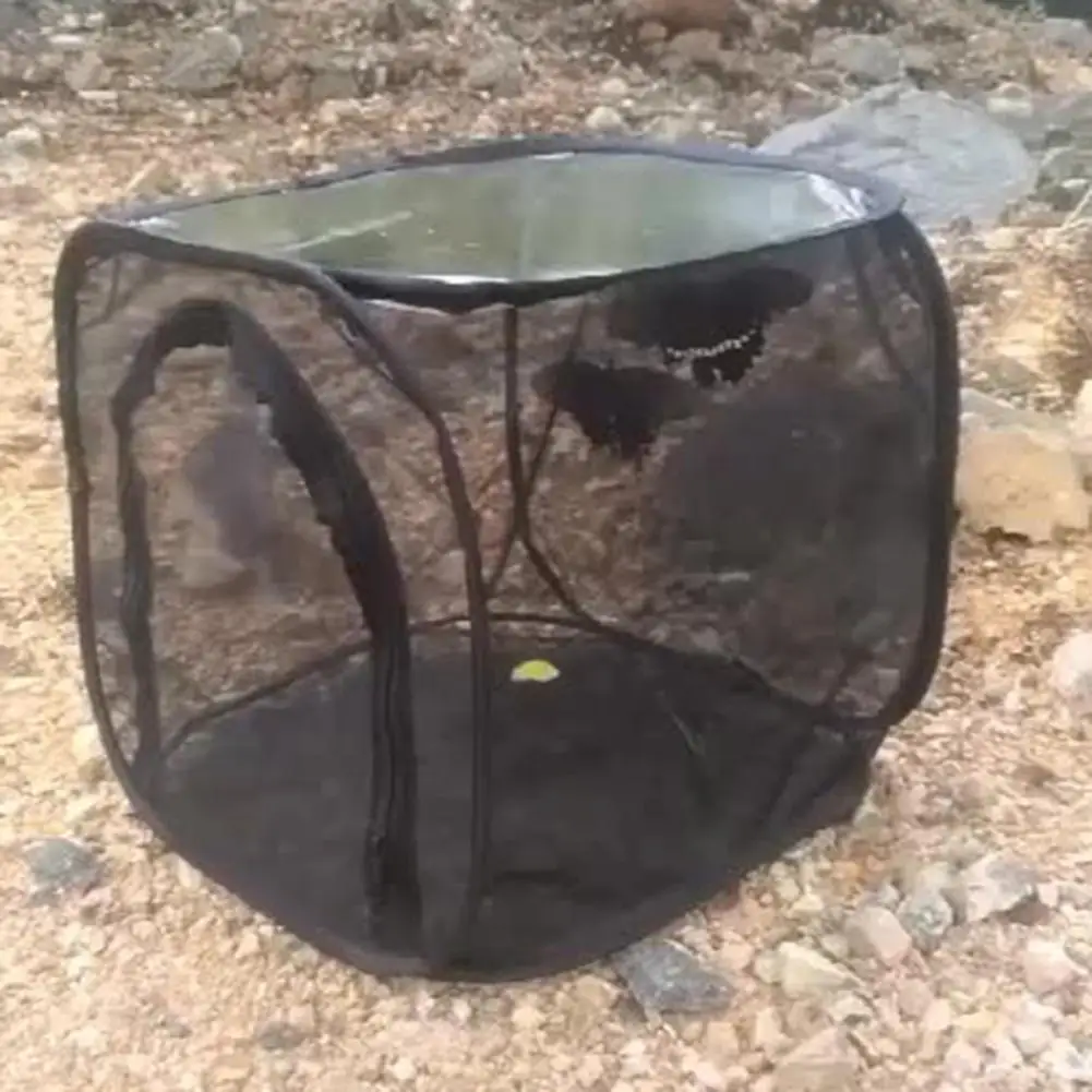 Collapsible Cage Foldable Polyester Perfect Incubator Butterfly Cage for Home