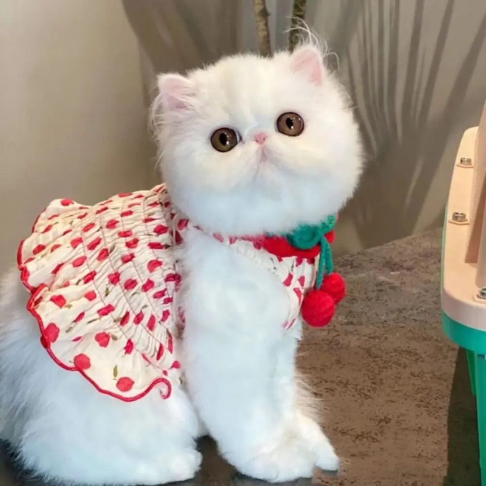 

Pet Supplies Cute Pet Summer Clothes Soft Floral Print Pet Princess Dresses Thin Design Breathable Dog Vest Skirt Spring