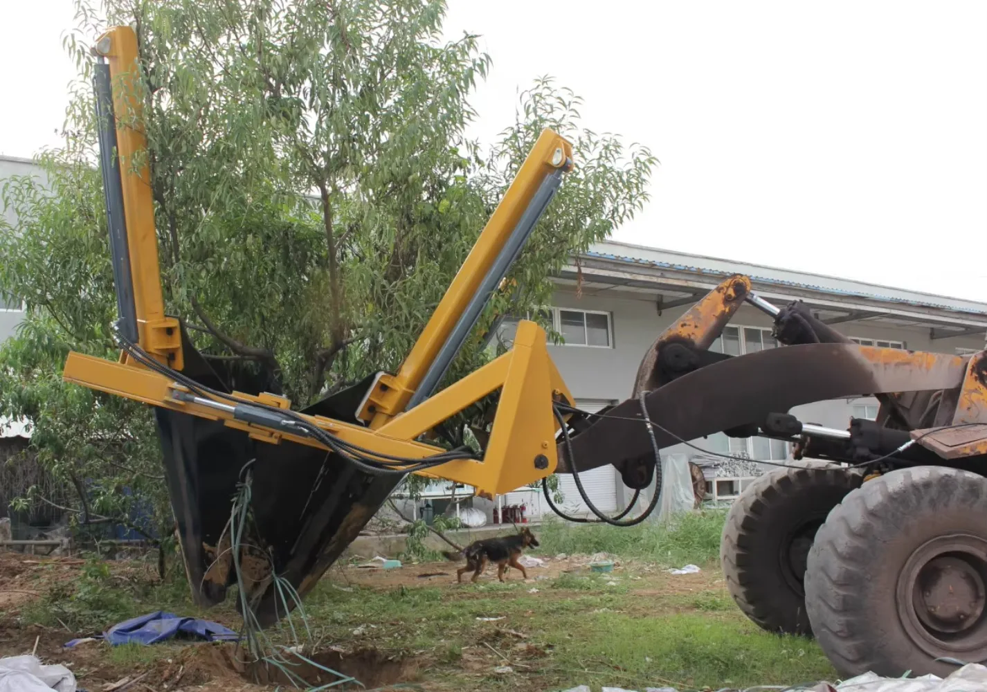 Picture 7: Hot Sale Wheel Loader Tree Transplanter Tree Removal