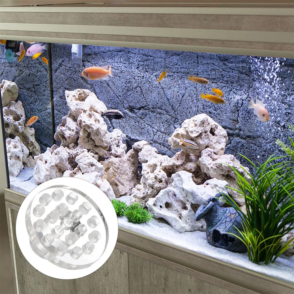 

10pcs Rack Transparent Acrylic Base Plug Coral Plug For Rack for Aquarium Tank Coral Holder Reef Accessories