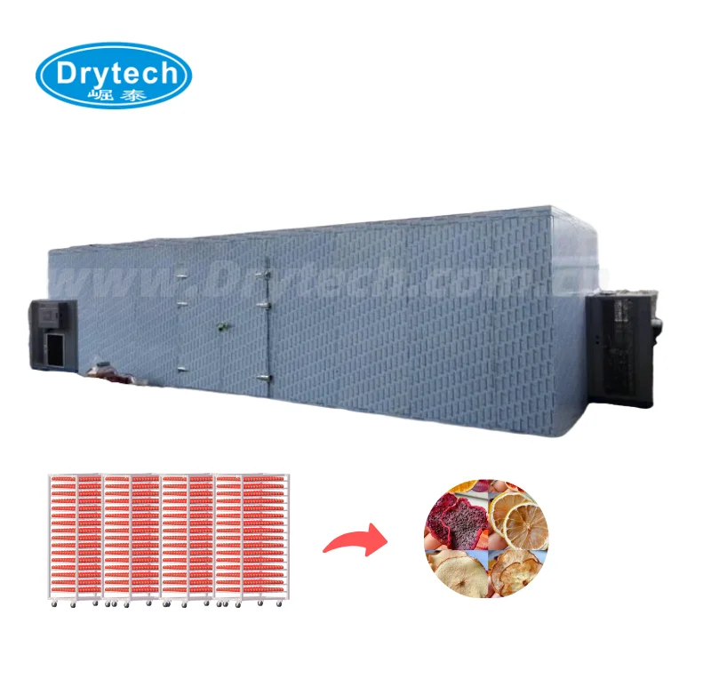 Fruit meat industry food processing heat pump drying equipment