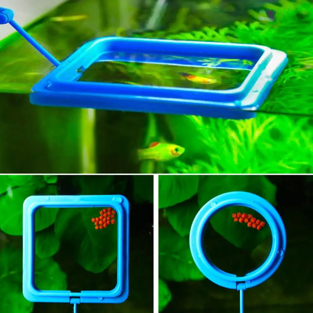 Fixed Feeding Fish Ring Floating Fish Feeder Rings Convenient Food Trays for Guppy Betta Goldfish in Aquariums