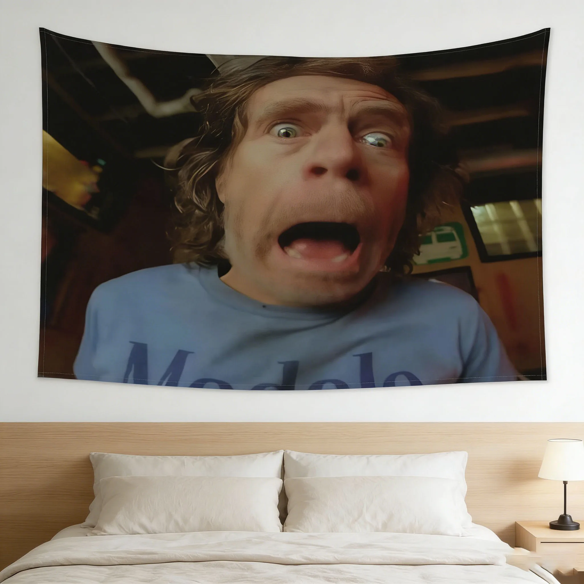 Frank Gallagher Pop Art Tapestry, 2D Plane Print Peach Beige Wall Hanging, TV Show Decor for Living Room Bedroom Party