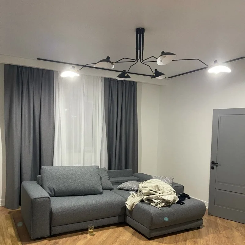 Modern simple teeth and claws ceiling lamp duck bill chandelier creative chandelier wrought iron homestay spider lamp