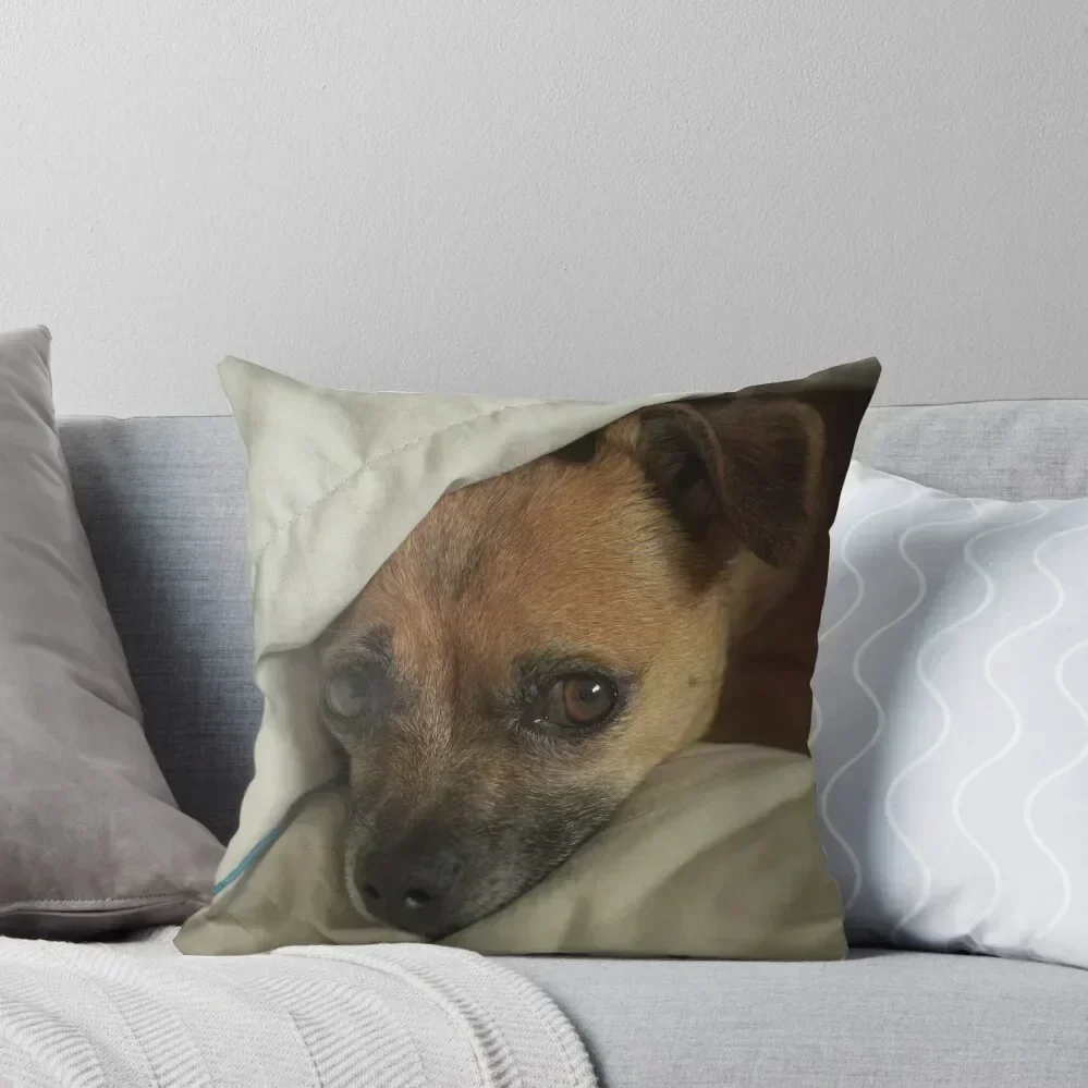 

332 Chuggers White Blanket Throw Pillow bed pillows Couch Pillows Sofa Cushion Cover Cusions Cover pillow