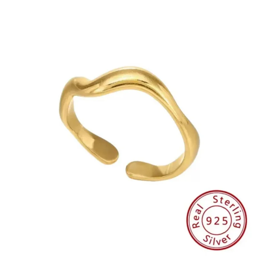 

Трансграничное кольцо из стерлингового серебра для женщин, нерегулярный открытый стиль, роскошное эстетическое эксклюзивное нишевое кольцо