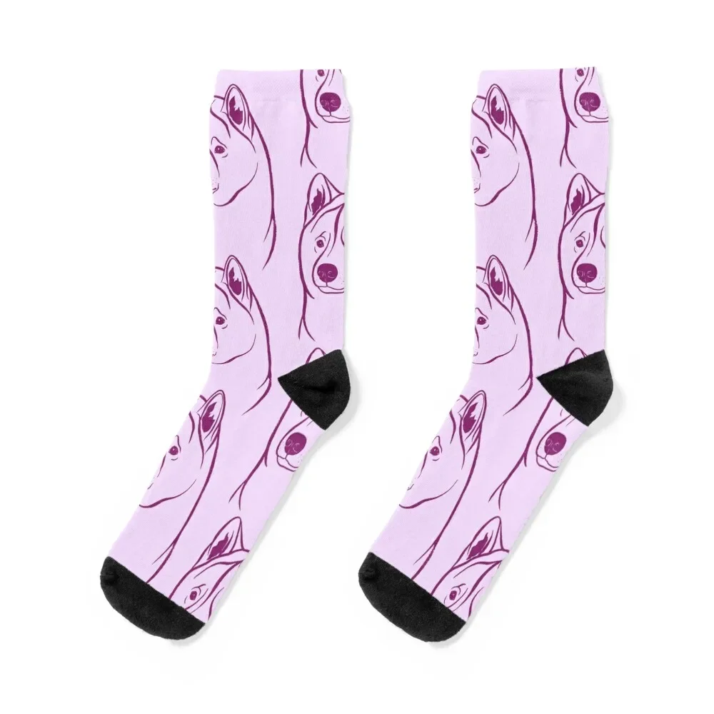 

American Akita (Lilac and Plum) Socks Stockings man retro loose Luxury Woman Socks Men's