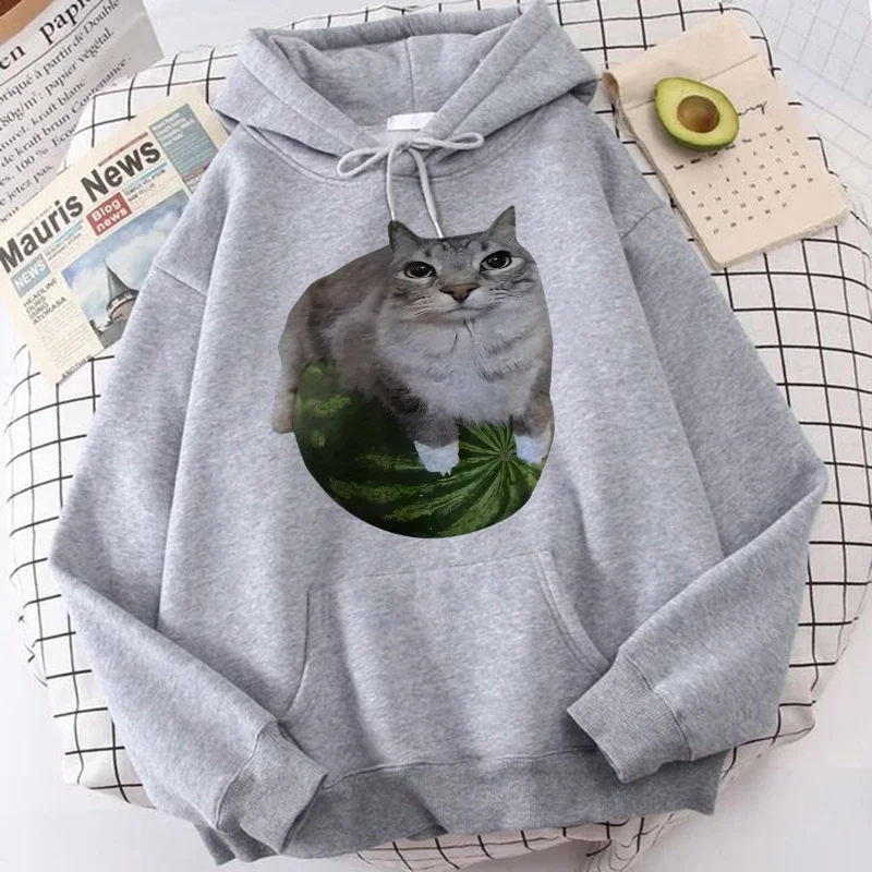 Women's Pullover Round-Neck Trendy Casual Sports Hoodie Top Base Layer Shirt, Versatile, Fashionable Round-Neck Hoodie