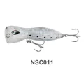 NSC011