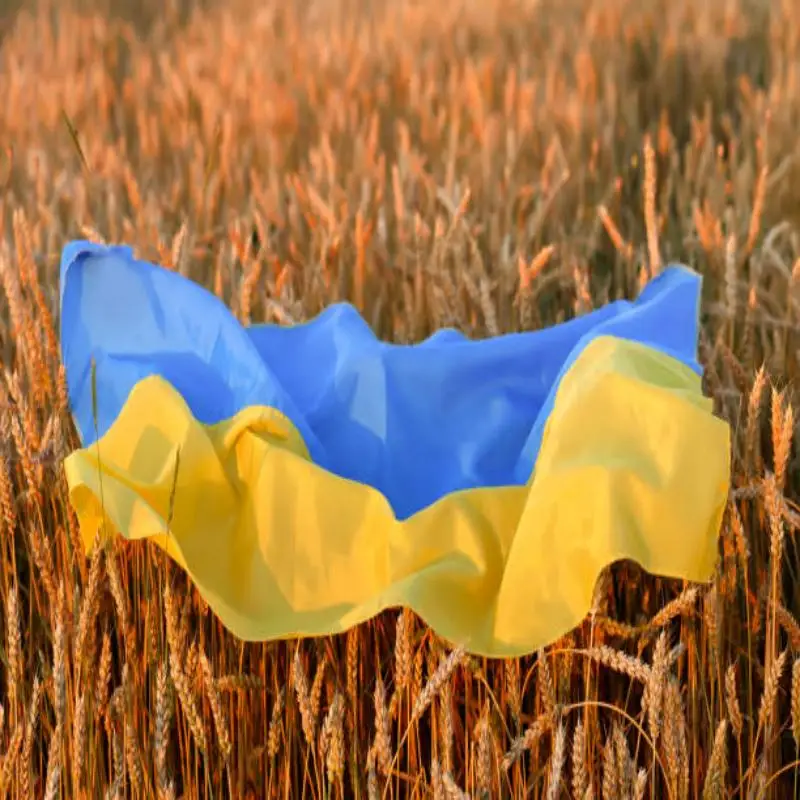 Ukraine National flag 90X150cm Hanging Polyester Blue Yellow UA UKR Ukrainian National Flags For Decoration