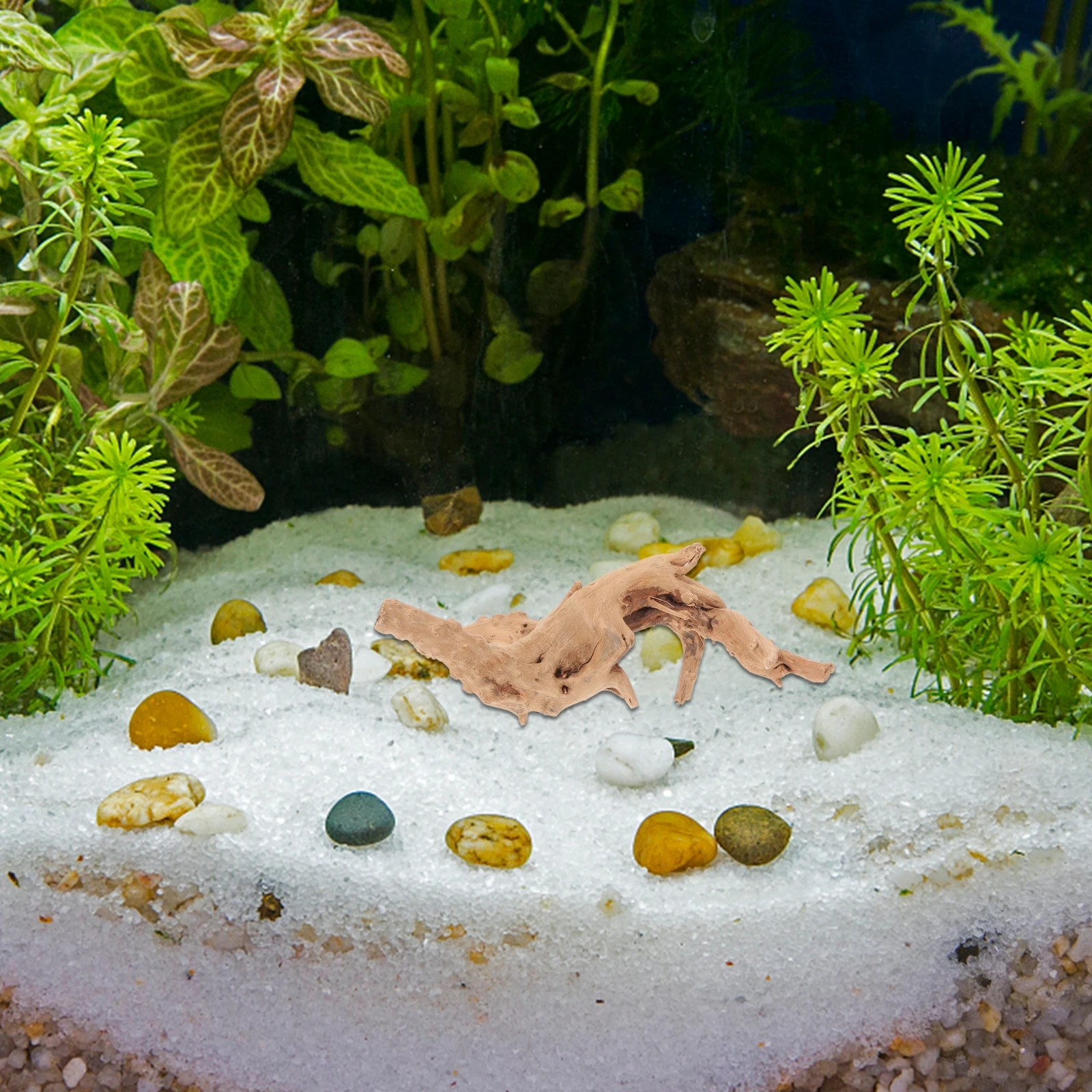 

2pcs Driftwood Decorations for Aquarium Fish Tank 10-15cm 20-25cm Natural Sunken Wood Root Branches Non-Fading Realistic