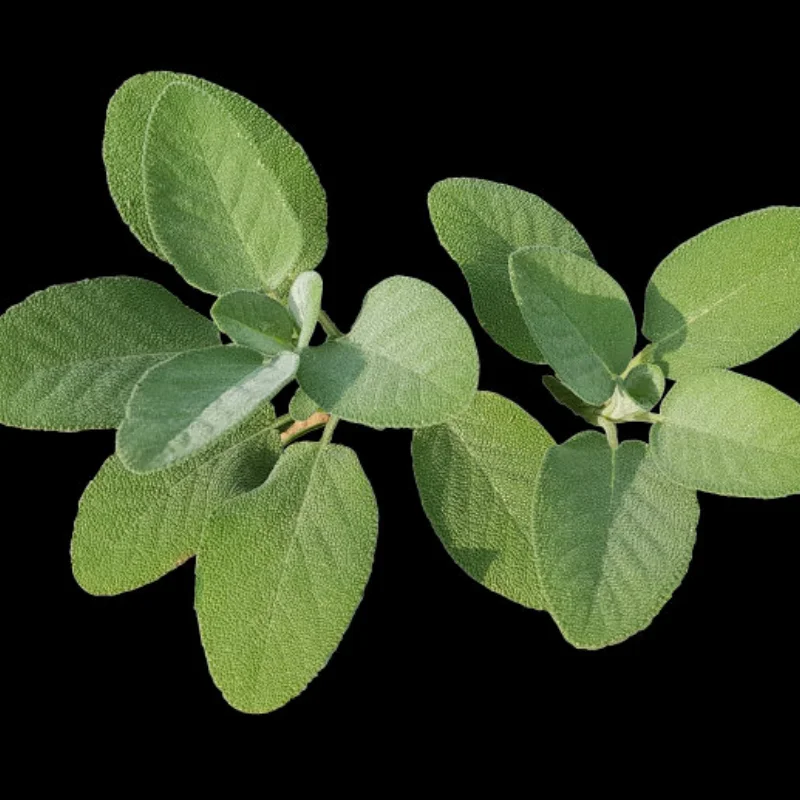 

Metal Upgraded Tail Fin Fixing Components for WLtoys 1/24 244016 LOSI 1/24 Micro-B RC Car Metal Upgrade OP Accessories Parts