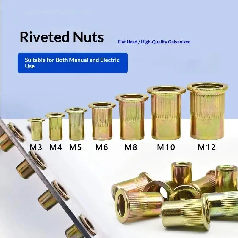 【BA】100PCS Rivet Nut +Hand Threaded Rivet Nuts  BT606 M3 M4 M6 M8 Double Insert Manual Riveter  Riveting Rivnut Rivet Tool