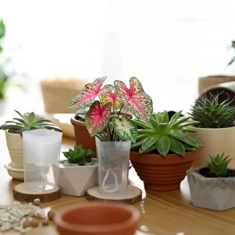 

Тренд 2025 года: 10 шт. маленьких самополивающихся горшков для комнатных растений (2,5 дюйма) с 10 этикетками для растений, отметками уровня воды и дренажом