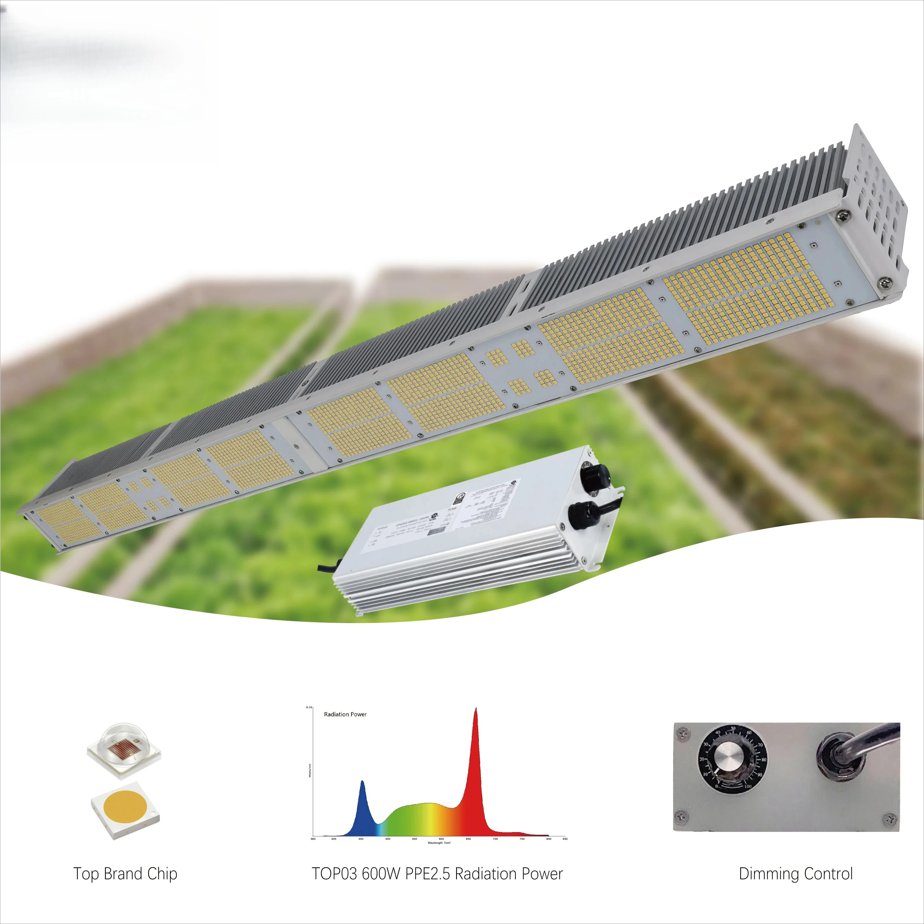 JK Brand Plant Growth Lamp Bar Compact 600w 300w Plant Growlights High Quality Greenhouse Indoor LED Grow Light Strips