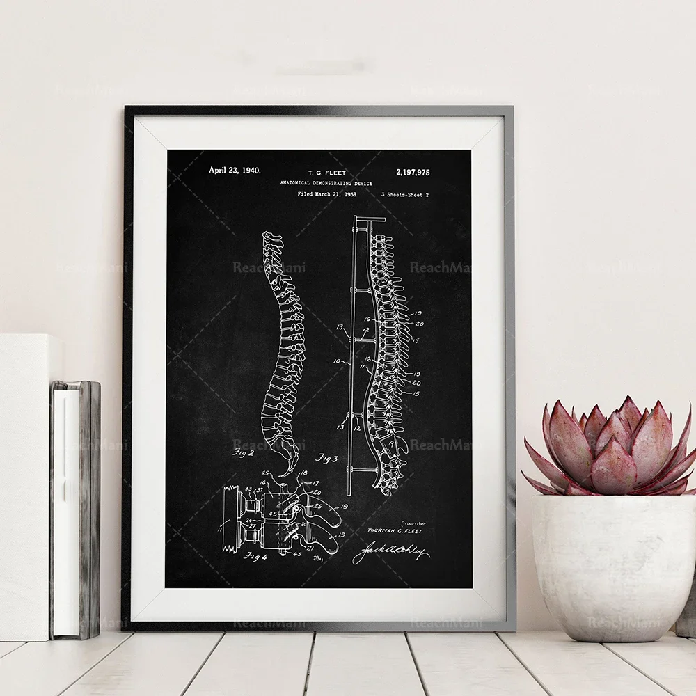 Anatomical Patent Poster Set of 3, Skeleton Poster, Hospital Decor, Skull, Spinal Art, Office Decor