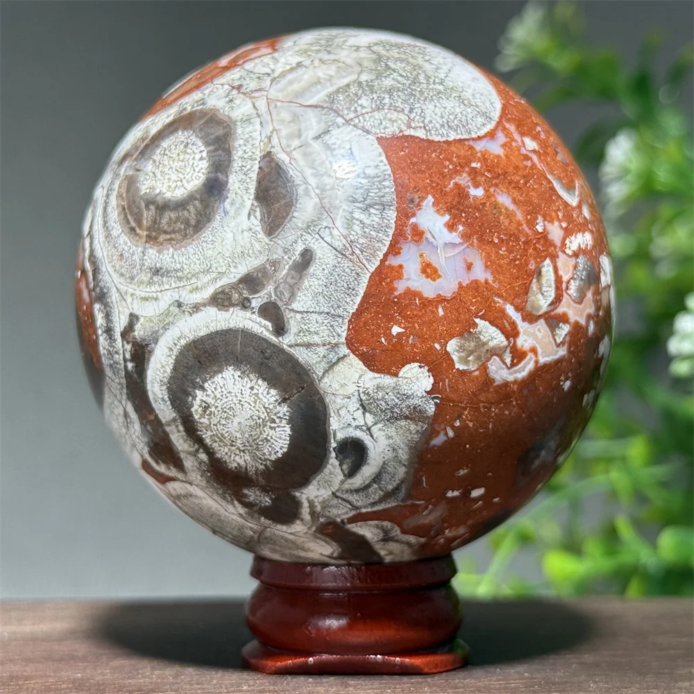 Natural Money Agate Ball Mineral Quartz Handicraft Spiritual Meditation Healing Witchcraft Altar Energy Home Decoration+Base