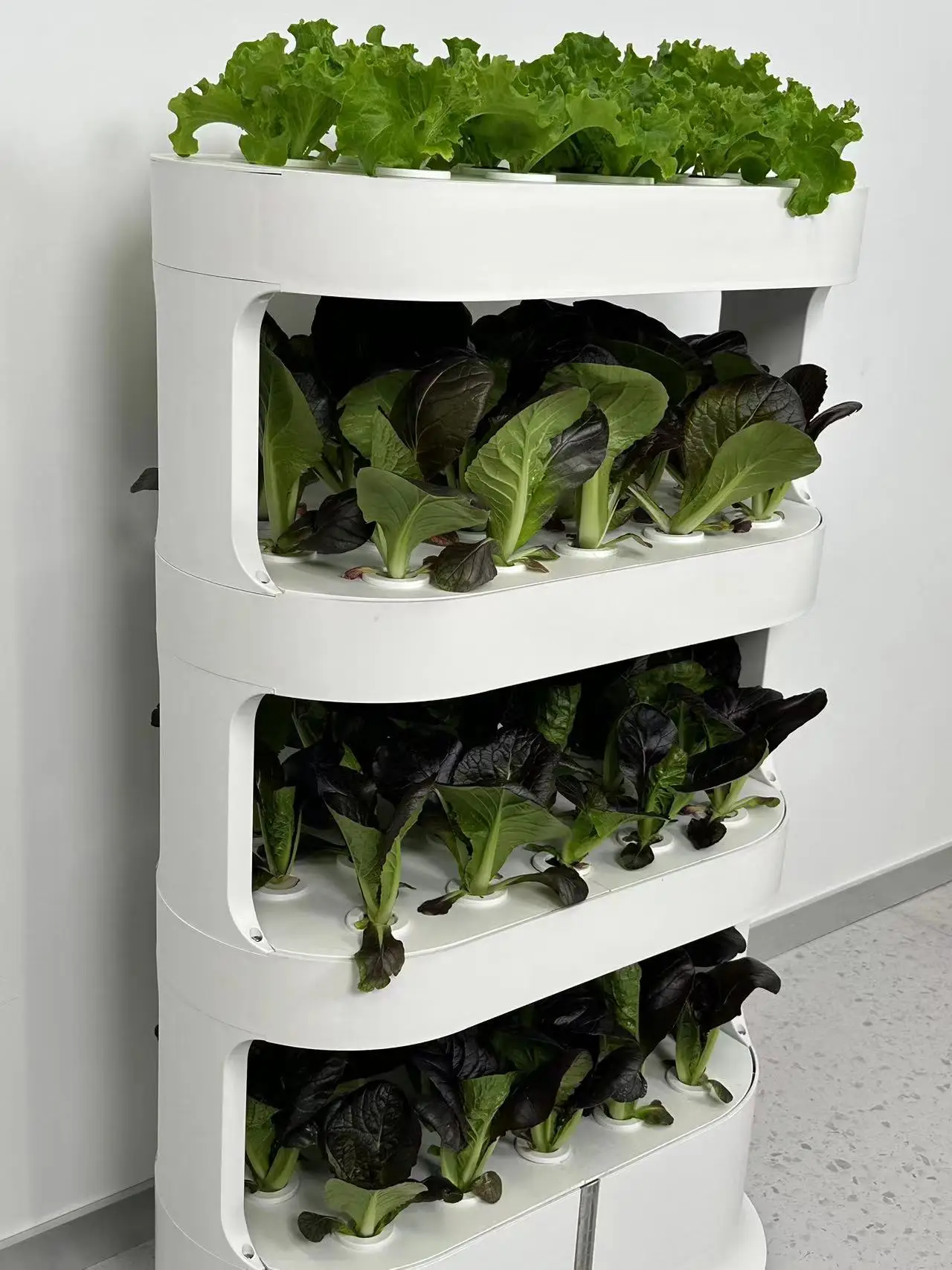 High quality water culture indoor green leafy vegetable planter hydroponic planter