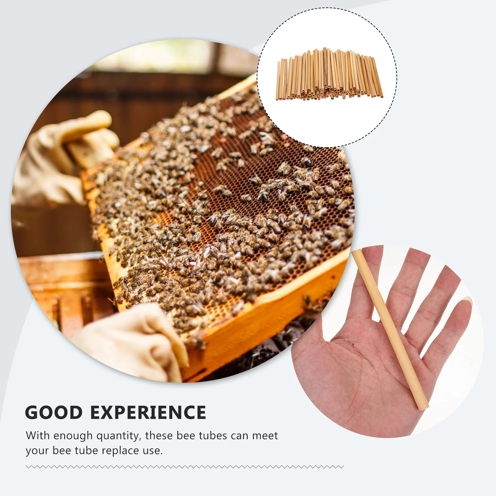 100Pcs Reed Bee Tubes Natural Hollow Reed Bee House Tubes Refill Bee Tube Replacements Beekeeping Tools Garden Supplies