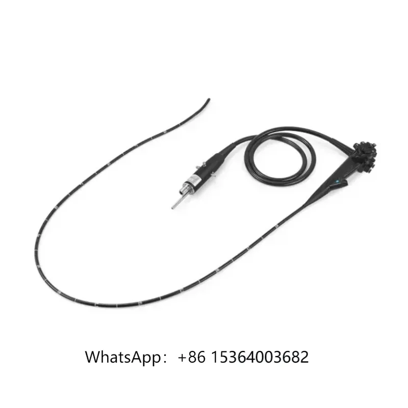 

High-end Portable Veterinary Gastroscope System Multi-functional Endoscope for Large Animals & Pets