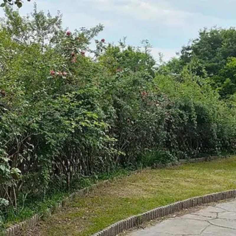 

GEPRC TAKER F745 BT 8Bit 60A Stack 4IN1 ESC 512MB Black Box Data Analyze Record Flight Barometer LiPo 30.5X30.5mm