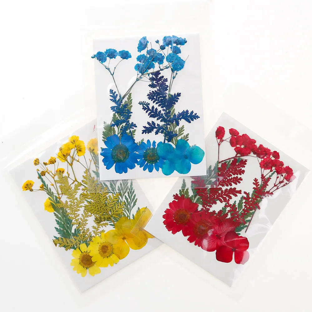 Fleurs séchées de Murcia pour le plaisir, matériel GT pour moules en résine, plantes sèches, remplissages, élection, résine xy, artisanat, bricolage, décor d'art d'ongle