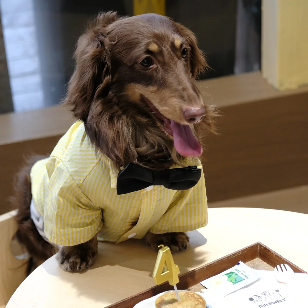 Camiseta a cuadros amarilla para Dachshund – Pijama algodón suave - imagen 4