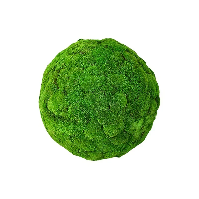 

Eternal moss ball creative green plant simulation moss ball background wall decoration white