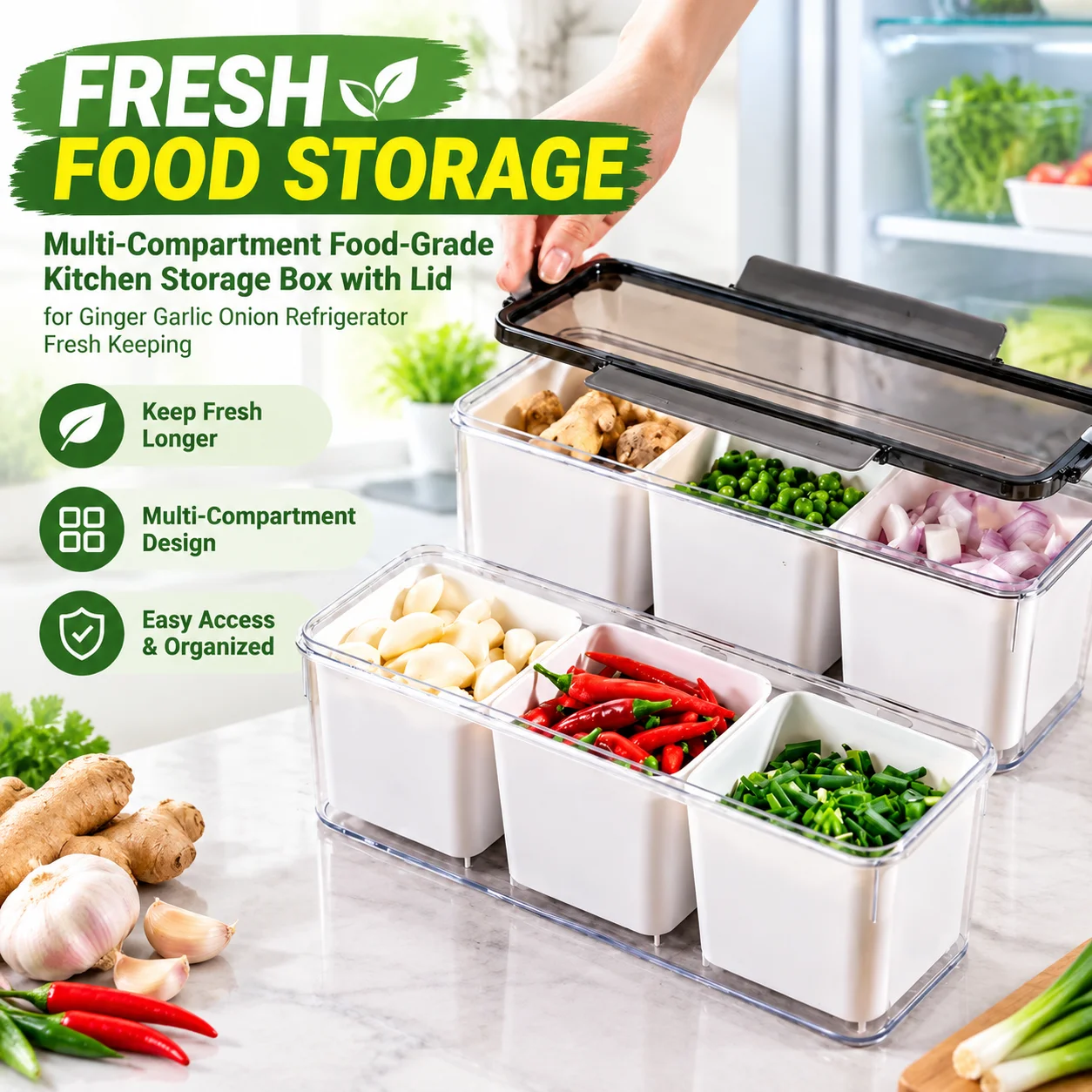 Multi-Compartment Food-Grade Kitchen Storage Box with Lid for Ginger Garlic Onion Refrigerator Fresh Keeping