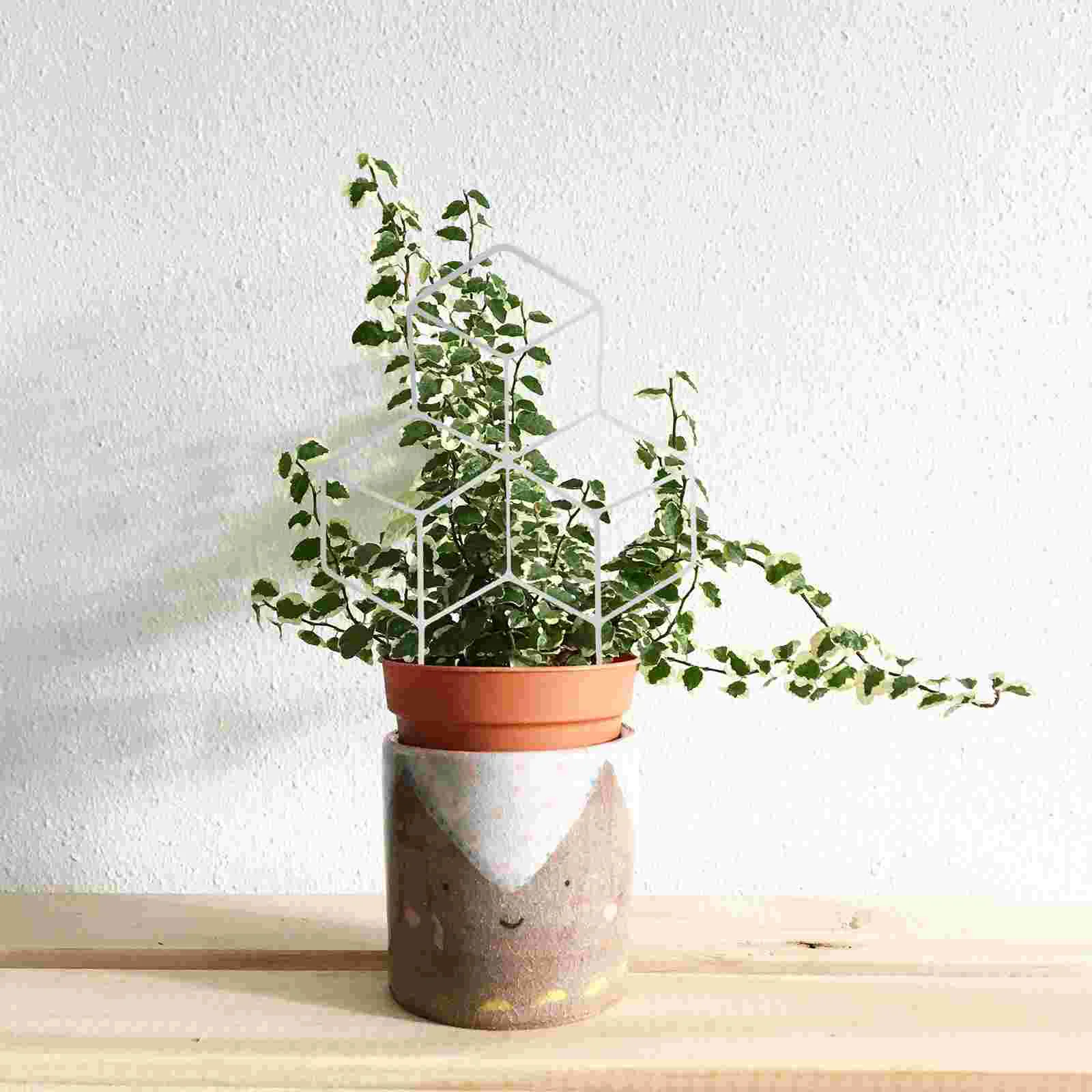 Soporte para plantas en maceta, soporte hexagonal para plantas de interior, soporte de enrejado de jardín, macetas de hierro para escalar